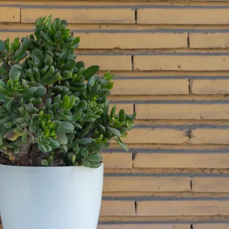 Apartment Horia By People